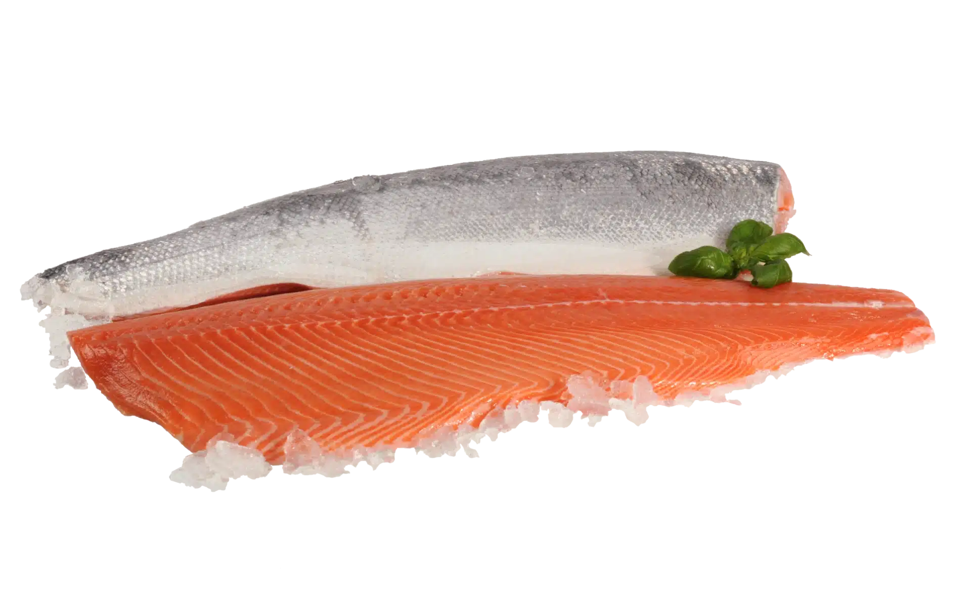 Fresh and frozen salmon products